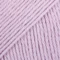 24 Lavendel frost